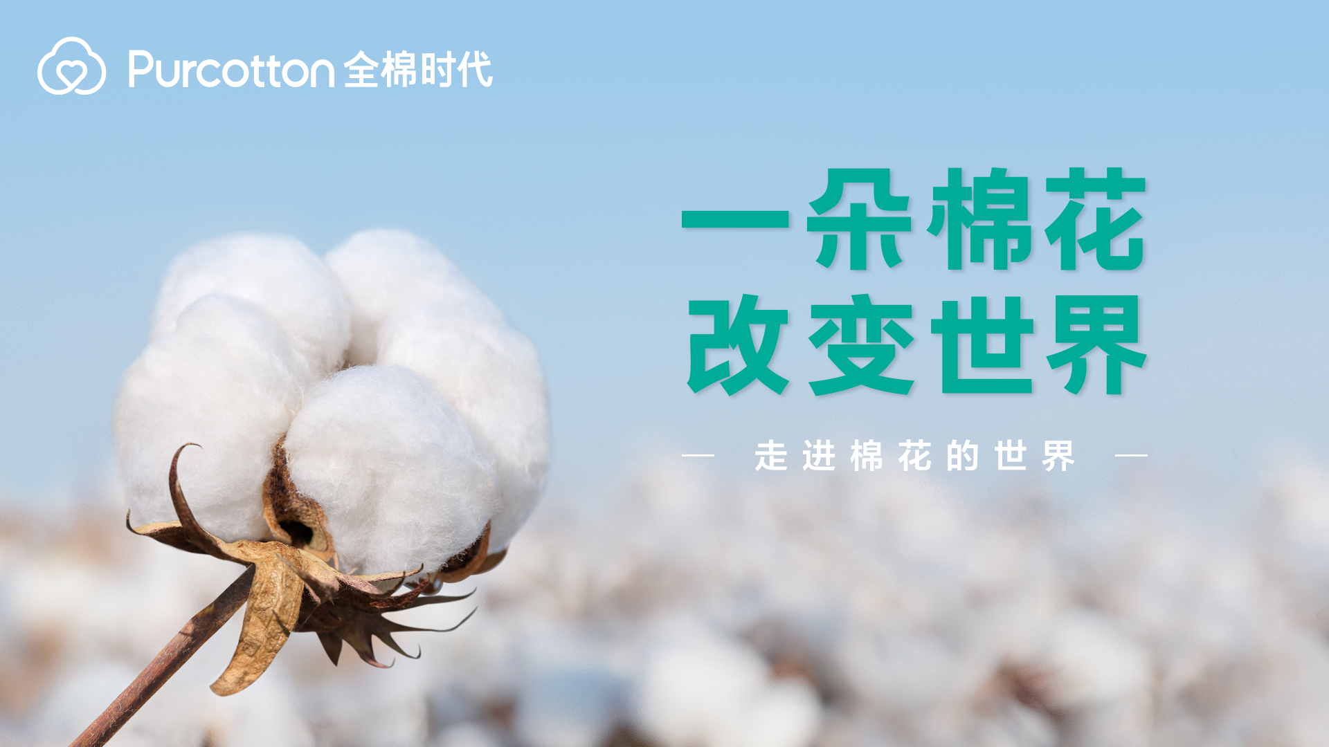 图1一朵棉花改变世界.jpg