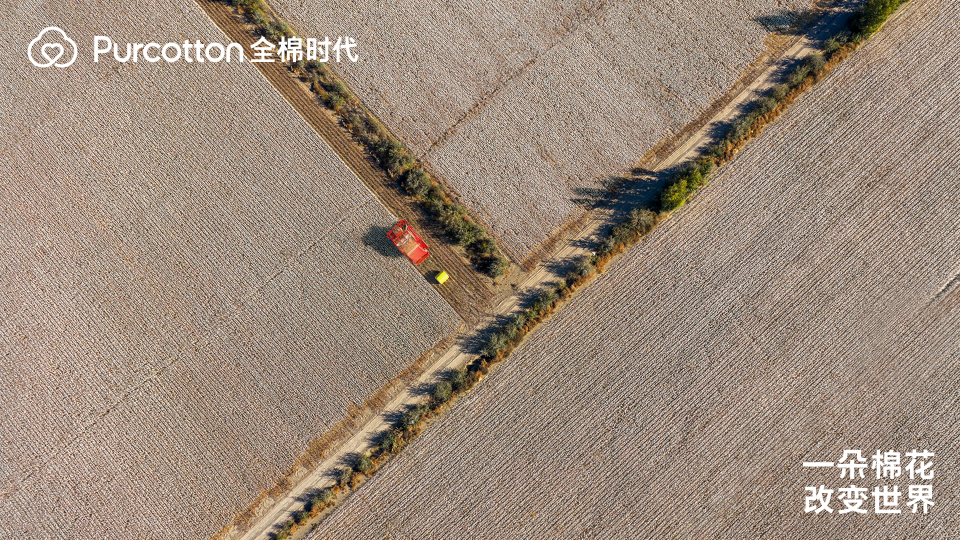 图2丰收的棉田.jpg