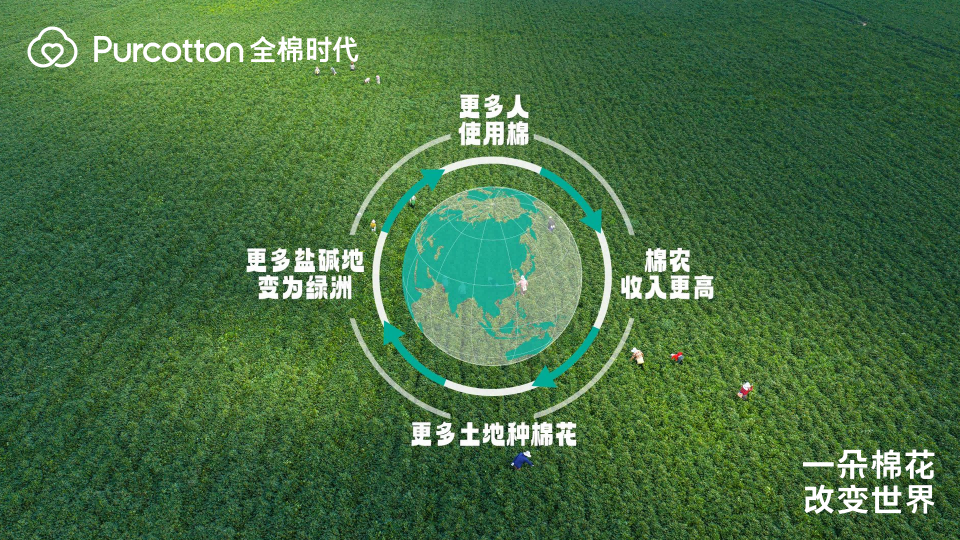 图8棉花生态链.jpg